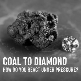 Some teams – and people – rise under the pressure.